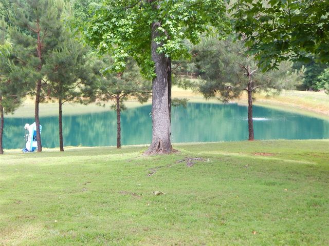1106 TALL TIMBERS, Gilmer, TX 75645