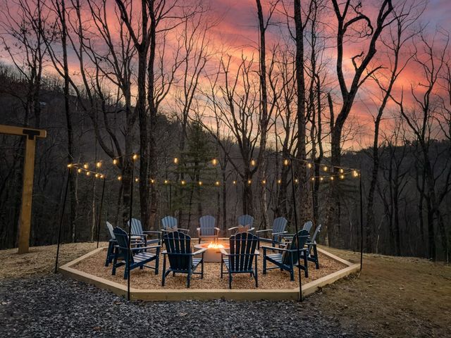 1160 Mangums Trail, Blue Ridge, GA 30513