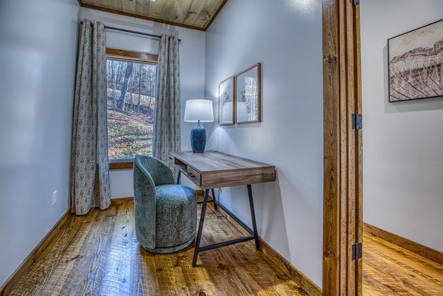 1160 Mangums Trail, Blue Ridge, GA 30513