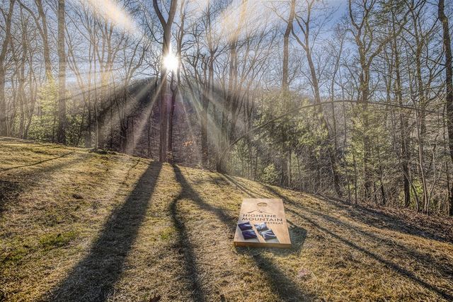 1160 Mangums Trail, Blue Ridge, GA 30513