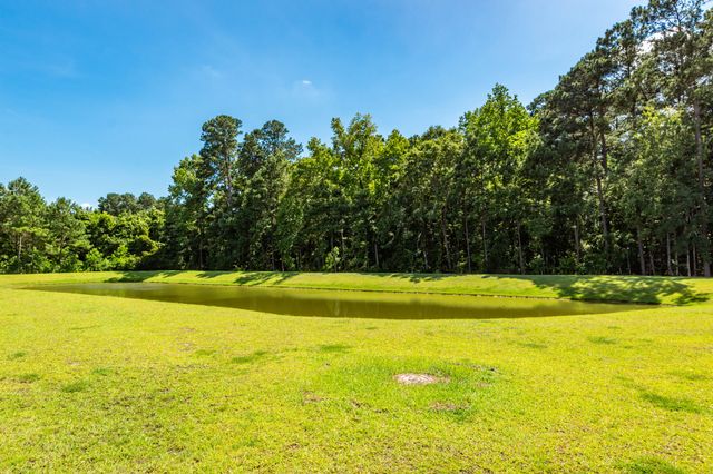 233 Coral Sunset Way, Summerville, SC 29486