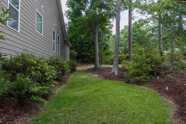 101 Woolbright Avenue, Chapin, SC 29036