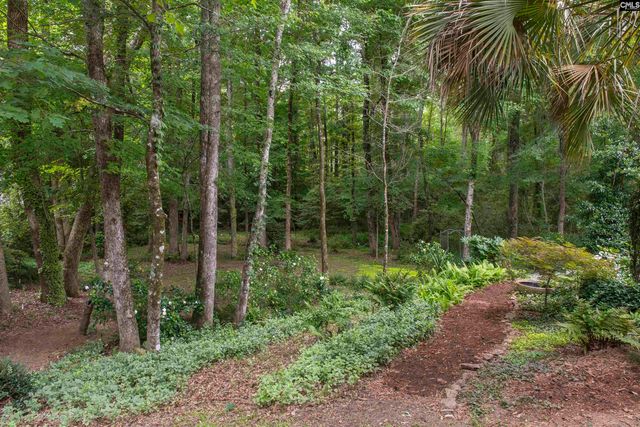 101 Woolbright Avenue, Chapin, SC 29036