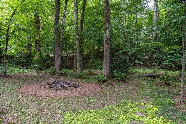 101 Woolbright Avenue, Chapin, SC 29036