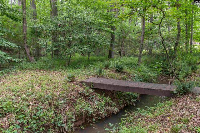 101 Woolbright Avenue, Chapin, SC 29036