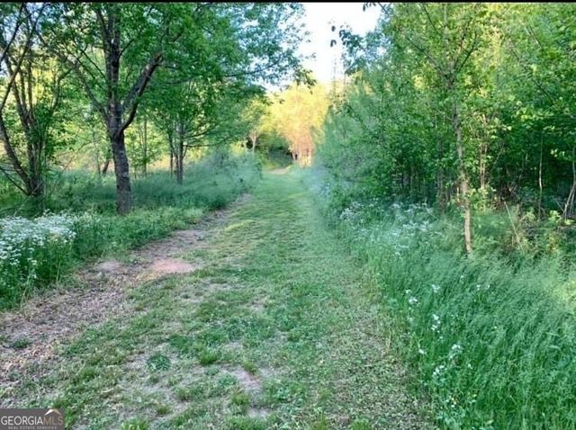 4320 Jeston Court, Cumming, GA 30028