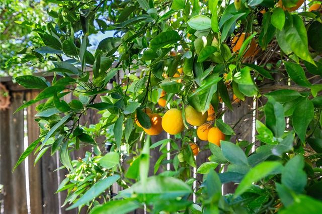 40230 Holden Circle, Temecula, CA 92591