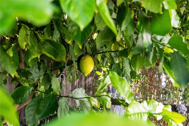 40230 Holden Circle, Temecula, CA 92591