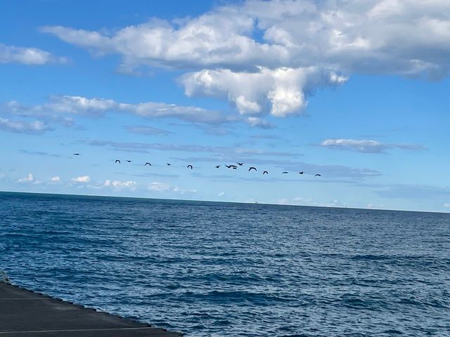 4055 S Ellis Avenue, Chicago, IL 60653