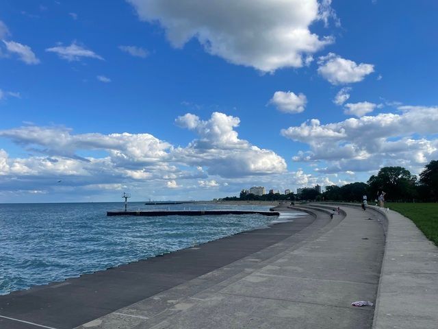 4055 S Ellis Avenue, Chicago, IL 60653