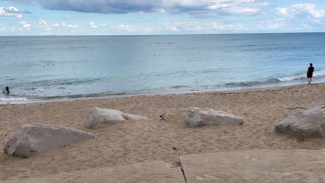 4055 S Ellis Avenue, Chicago, IL 60653