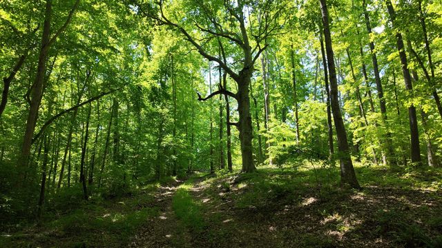 1000 Sendero Bad, Dickson, TN 37055