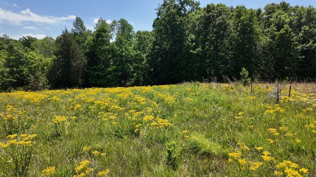 1000 Sendero Bad, Dickson, TN 37055