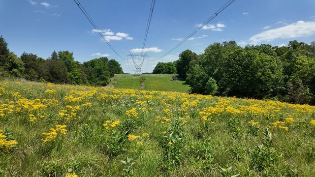 1000 Sendero Bad, Dickson, TN 37055