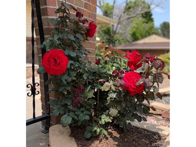 1055 S Elmira St, Denver, CO 80247