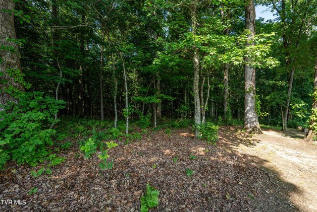 3441 Allison Meadows, Piney Flats, TN 37686