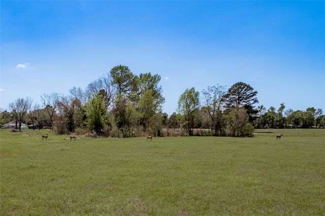 1490 Fm 230, Trinity, TX 75862