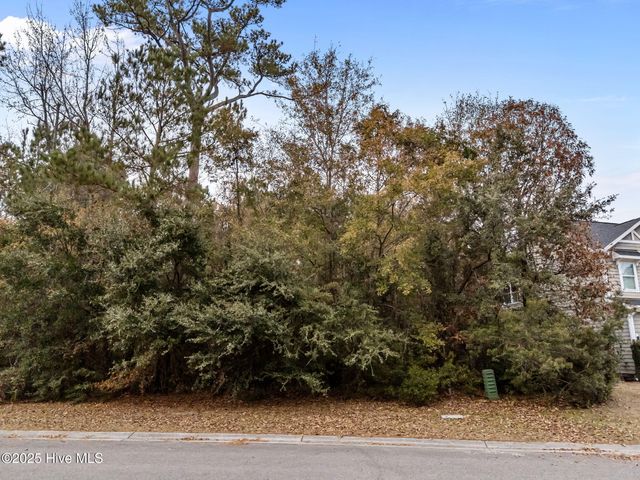 603 Belhaven Drive, Wilmington, NC 28411