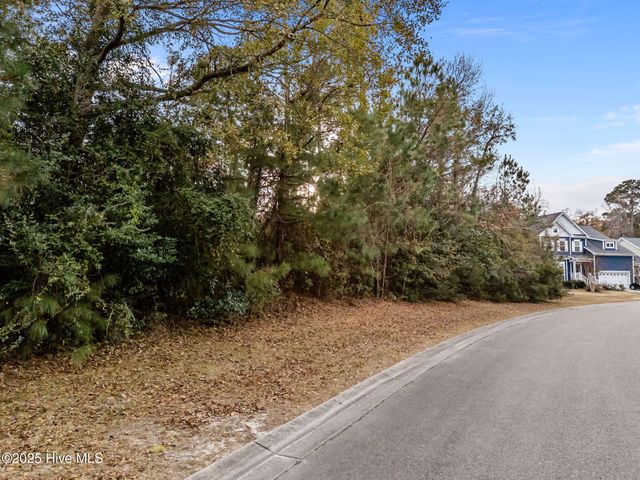 603 Belhaven Drive, Wilmington, NC 28411