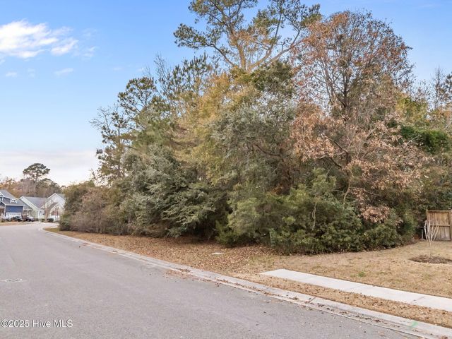 603 Belhaven Drive, Wilmington, NC 28411