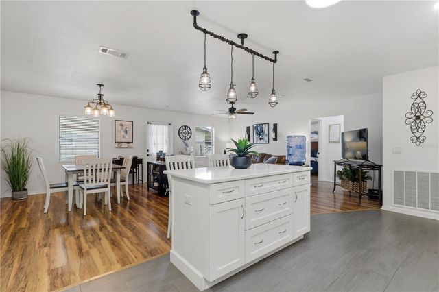 1381 CR 446A, Lake Panasoffkee, FL 33538