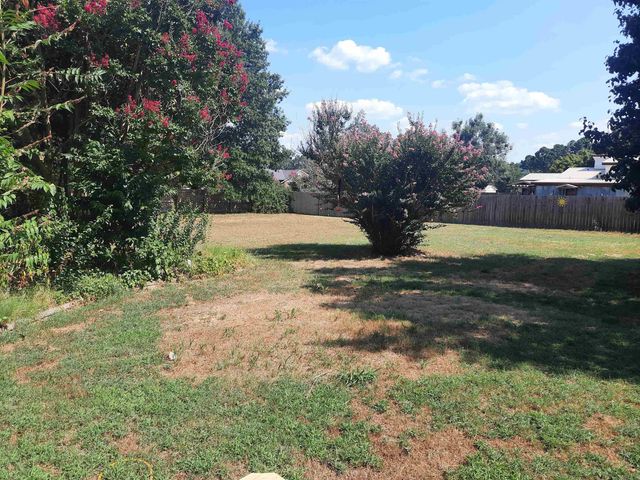 3201 McKinney Street, Mountain View, AR 72560