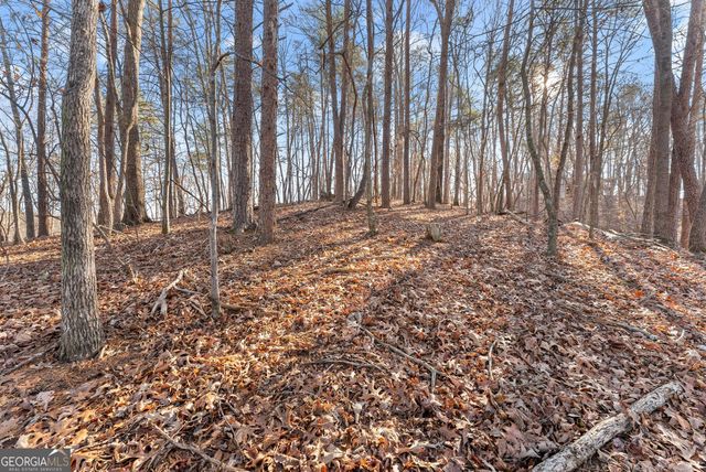 0 Golden Lot 1 Avenue, Dahlonega, GA 30533