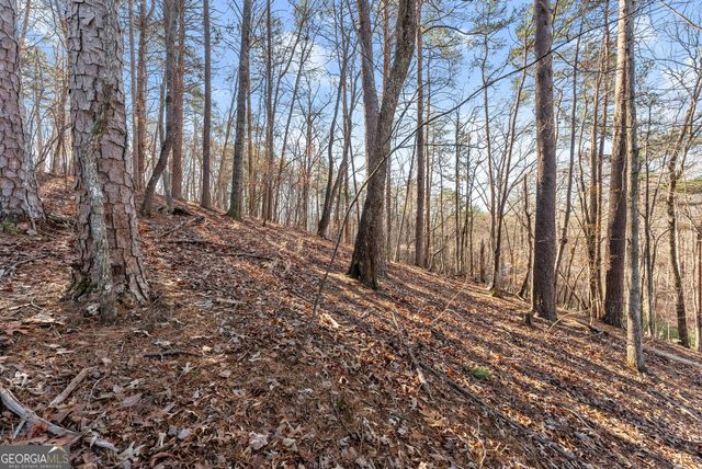 0 Golden Lot 1 Avenue, Dahlonega, GA 30533