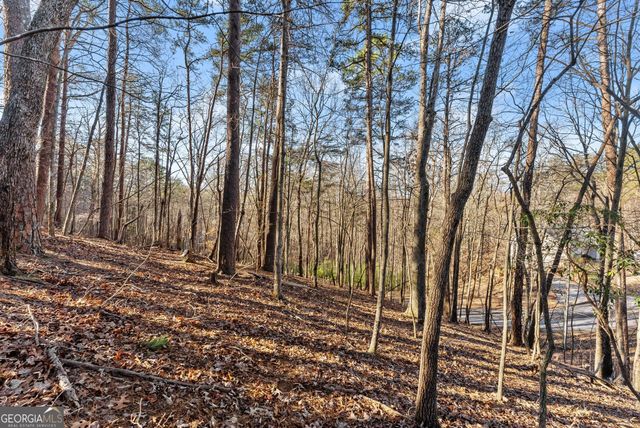 0 Golden Lot 1 Avenue, Dahlonega, GA 30533