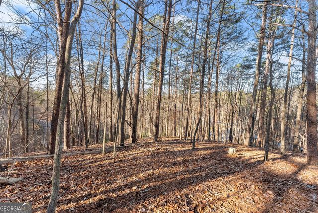 0 Golden Lot 1 Avenue, Dahlonega, GA 30533