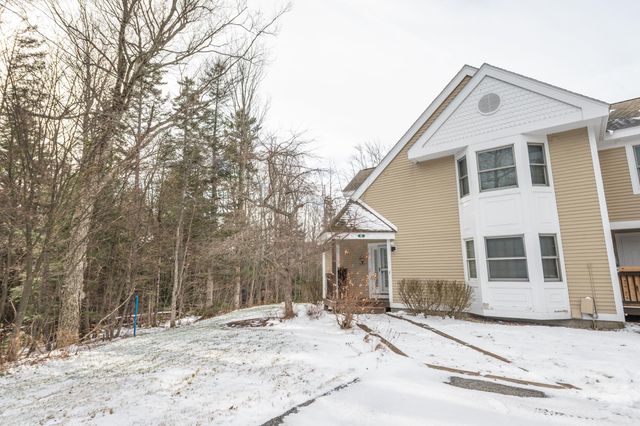 9A Dover Springs Lane, Dover, VT 05356