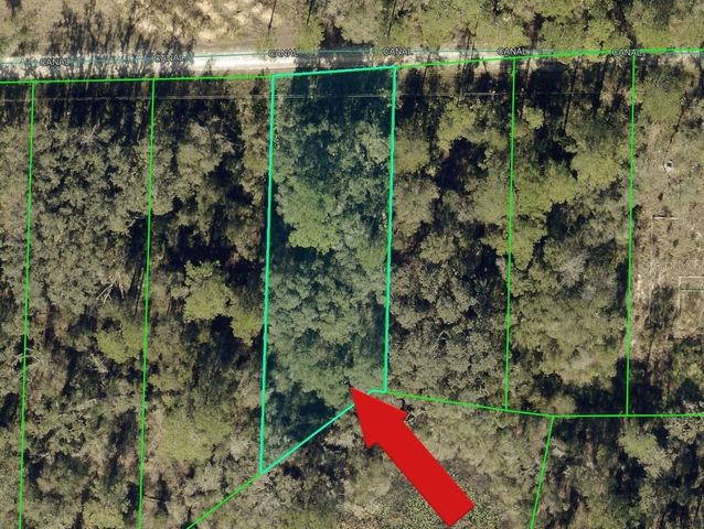 N CANAL STREET, Webster, FL 33597