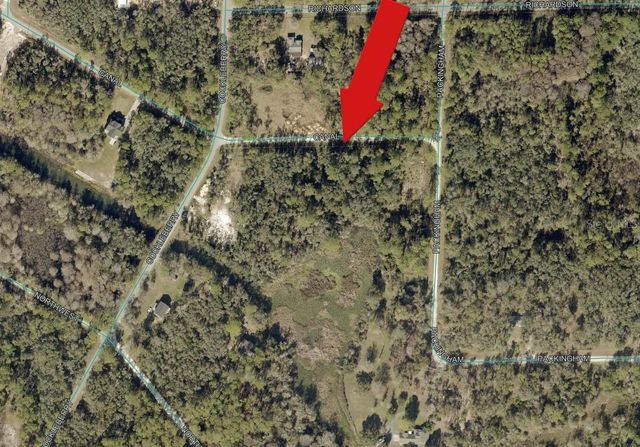 N CANAL STREET, Webster, FL 33597