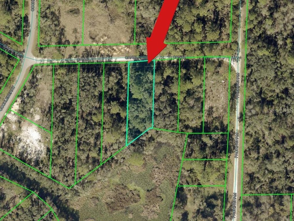 N CANAL STREET, Webster, FL 33597