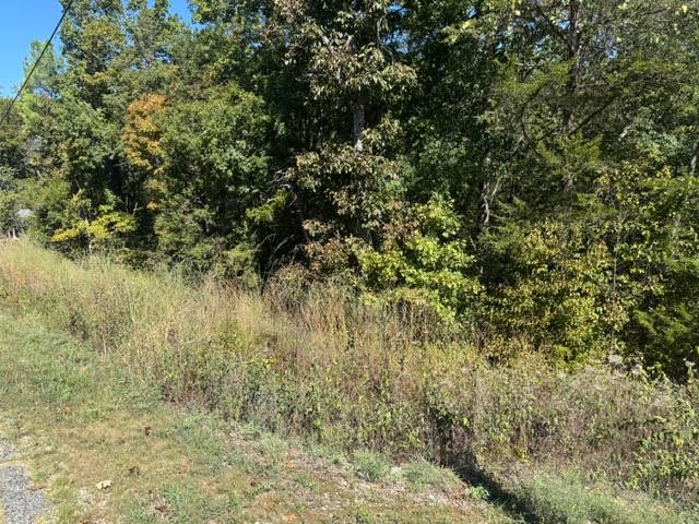 80 Wild Turkey Drive, Holiday Island, AR 72631
