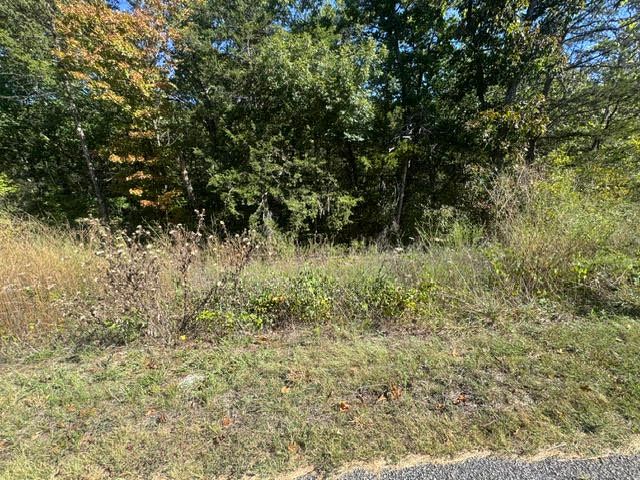 80 Wild Turkey Drive, Holiday Island, AR 72631