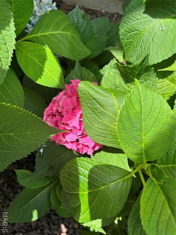 407 Ahr Strom Drive, Owensville, MO 65066