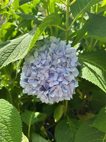 407 Ahr Strom Drive, Owensville, MO 65066