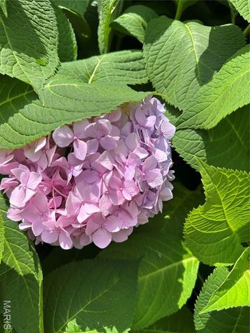 407 Ahr Strom Drive, Owensville, MO 65066