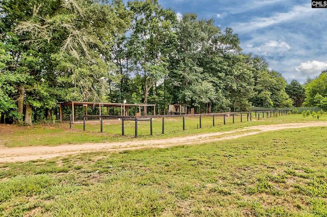 172 Eugene Neese Lane, Swansea, SC 29160