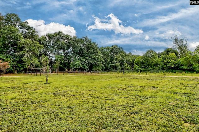 172 Eugene Neese Lane, Swansea, SC 29160