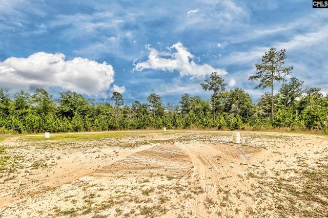 172 Eugene Neese Lane, Swansea, SC 29160