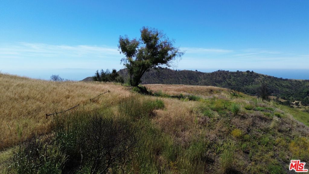 Image 9 of property listing at 2460 Tuna Canyon, Topanga, CA 90290