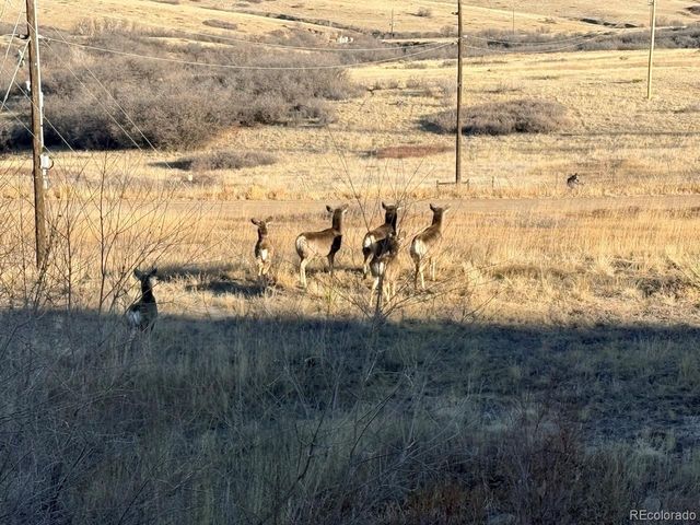 6917 Serena Drive, Castle Pines, CO 80108