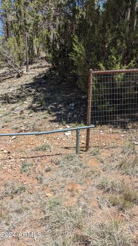 2968 CONSTELLATION Lane -, Overgaard, AZ 85933