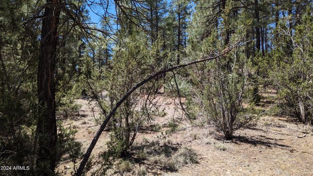 2968 CONSTELLATION Lane -, Overgaard, AZ 85933