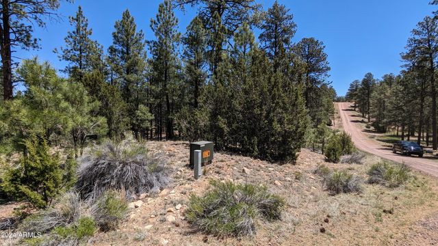 2968 CONSTELLATION Lane -, Overgaard, AZ 85933