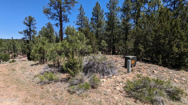 2968 CONSTELLATION Lane -, Overgaard, AZ 85933