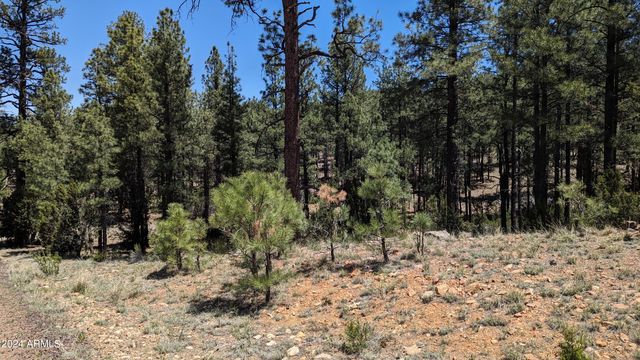 2968 CONSTELLATION Lane -, Overgaard, AZ 85933