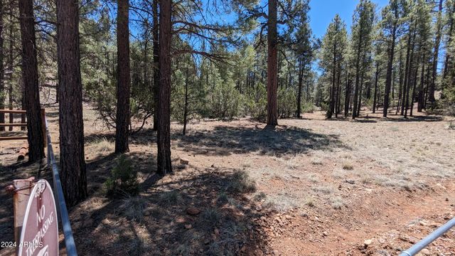 2968 CONSTELLATION Lane -, Overgaard, AZ 85933